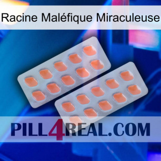 Racine Maléfique Miraculeuse 27